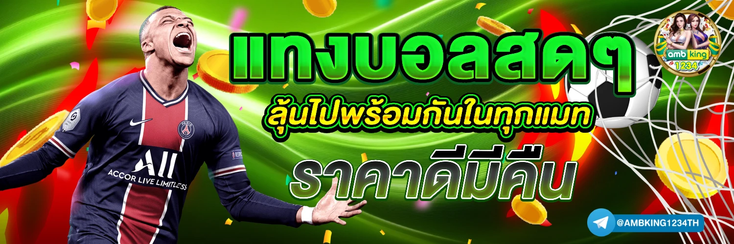 เว็บพนัน คาสิโน - แบนเนอร์โปรโมชั่น